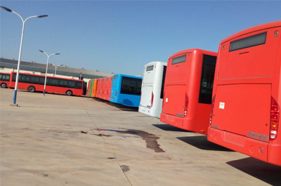 novos autocarros 2